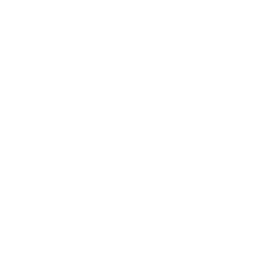 ce logo Passaic