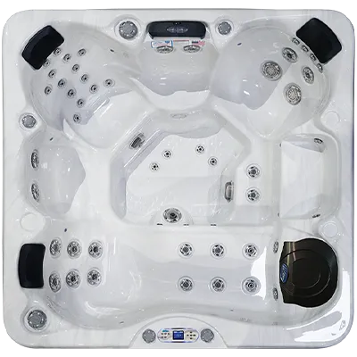 Avalon EC-849L hot tubs for sale in Passaic