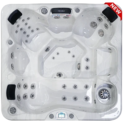 Avalon-X EC-849LX hot tubs for sale in Passaic